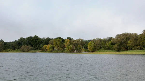 Träden längs stranden i St Lawrence-floden — Stockfoto