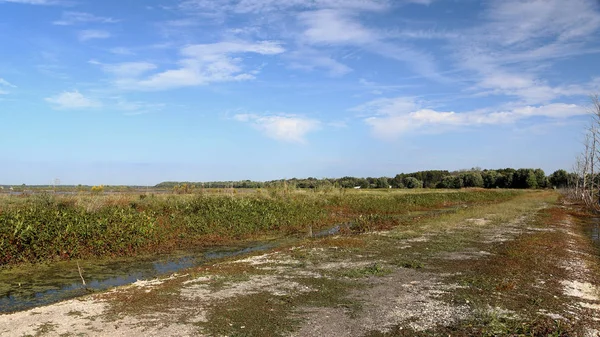 Camino a través de un pantano — Foto de Stock