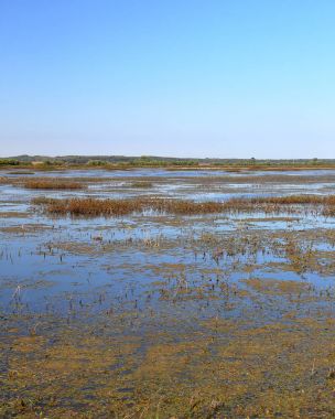 Marsh, Milli Yaban hayatı Sığınağı