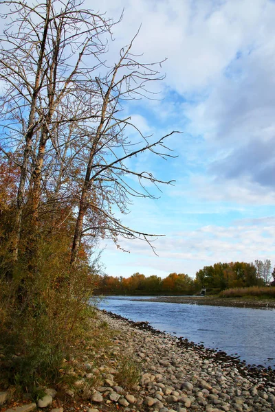 Rivière en automne avec des arbres aux couleurs automnales — Photo