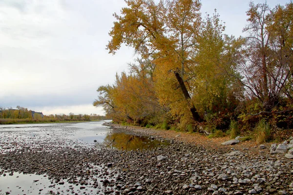 Деревянный берег реки осенью с деревьями осеннего цвета — стоковое фото