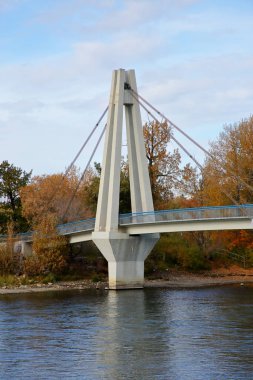 Ağaçlar ve bir köprü Sonbaharda nehir boyunca