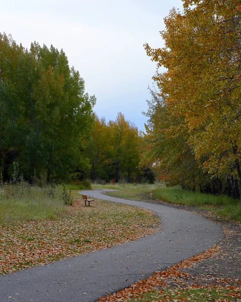 Caminho através de um parque no outono com árvores em cores de outono — Fotografia de Stock