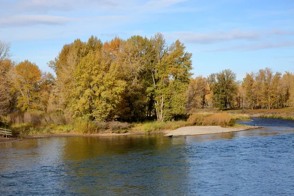 秋には紅葉した木の川岸 — ストック写真