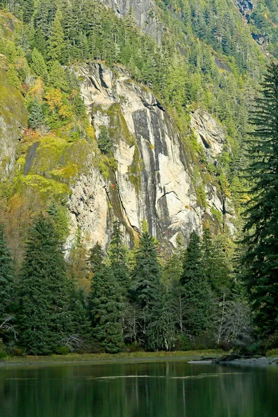 Rock wall. green river and pine trees in the mountains of British Columbia — Stock Photo, Image