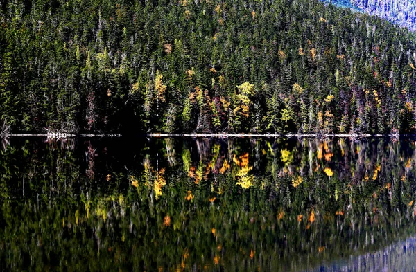 Lake with autumn forest reflected in the water — Stock Photo, Image