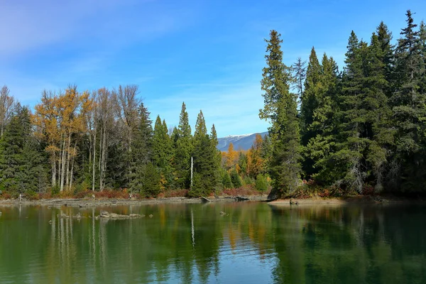 Lake with green water, trees and sky — Stock Photo, Image