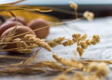  tavuk yumurta natürmort