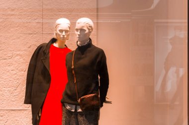 kadın aptallar. Kavram kadın moda