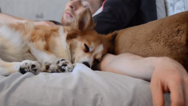 Hond Slaapt Een Arm Stoel Bed Met Een Jonge Man — Stockvideo