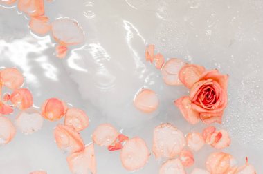 su üzerinde pembe gül yaprakları. Banyoda romantik ve rahatlatıcı gül yaprakları. Konsept: Çiftler romantik jest.