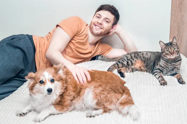 Власник Своїм Собакою Кішкою Обіймається Ліжку Домашні Тварини — стокове фото