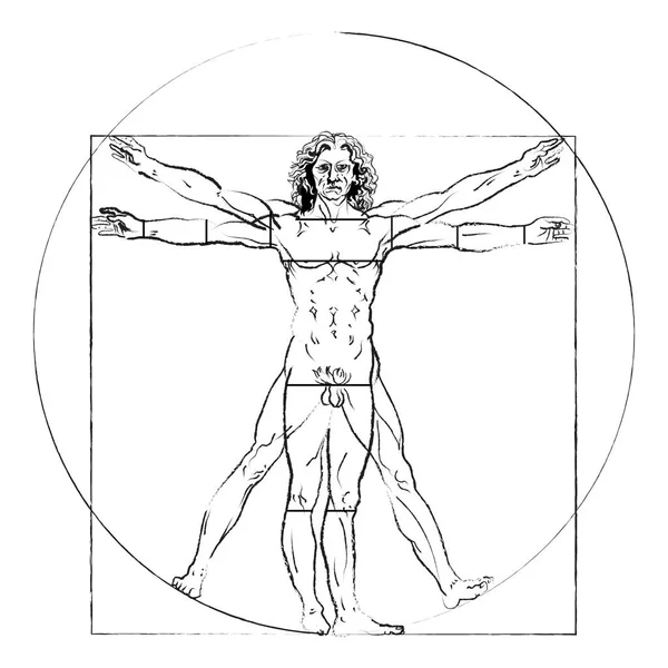 The Vitruvian man. Leonardo da Vinci 's Drawing on white, human anatomy, Vector — Stock Vector