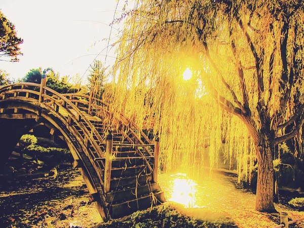 Sommerlicht Garten Mit Baum Und Holzbrücke — Stockfoto