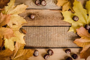 sonbahar yaprakları ve kestane masada