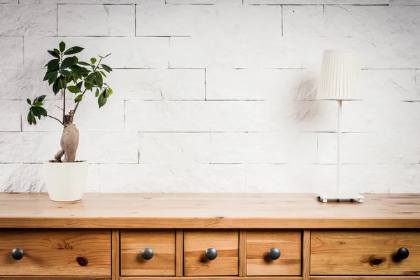 lamba ve çiçek ve beyaz duvar ile raf