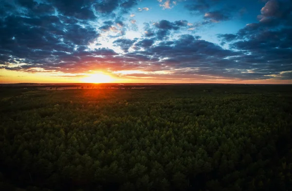Dron günbatımında ormanın üzerinde göster.