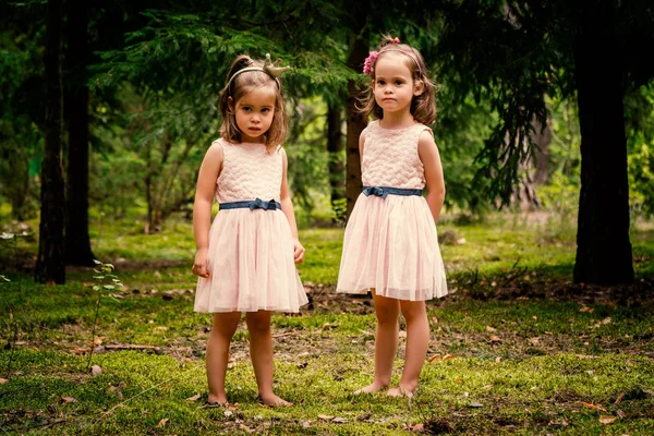 Dos chicas en vestidos posando en el bosque — Foto de Stock