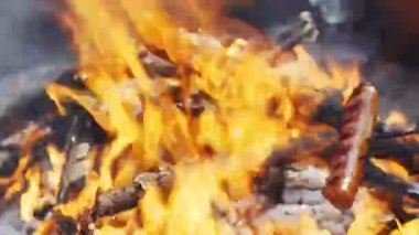 Yaz ormanda kamp ateşi üzerinde kavrulmuş lezzetli ve güzel kokulu sosis