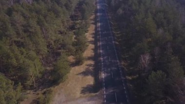 bir yaz ormandaki bir asfalt yolun havadan görünümü