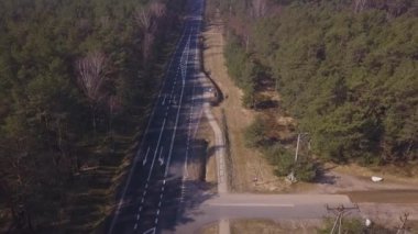 bir yaz ormandaki bir asfalt yolun havadan görünümü