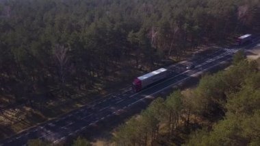ormandaki bir asfalt yolda sürüş kamyon havadan görünümü