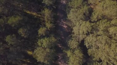 Bahar ormandaki bir çakıl yol havadan görünümü
