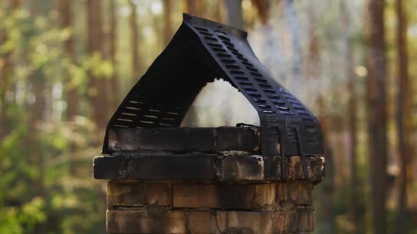 夏に森の家に煙突から出る煙 — ストック動画