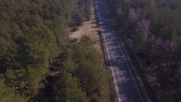 Αεροφωτογραφία Του Ασφαλτοστρωμένο Δρόμο Μέσα Ένα Δάσος Καλοκαίρι — Αρχείο Βίντεο
