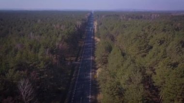 bir yaz ormandaki bir asfalt yolun havadan görünümü