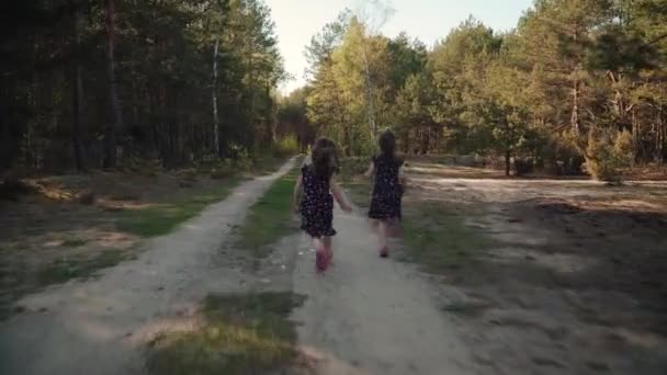 Dos Niñas Con Vestidos Corren Por Camino Arenoso Bosque Verano — Vídeo de stock