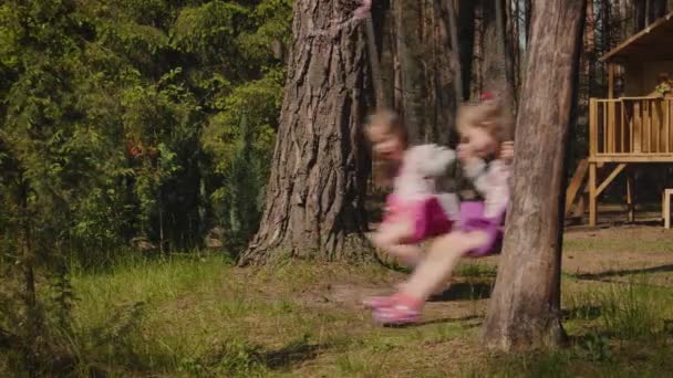 Duas Meninas Adoráveis Estão Balançando Balanços Uma Floresta Verão — Vídeo de Stock