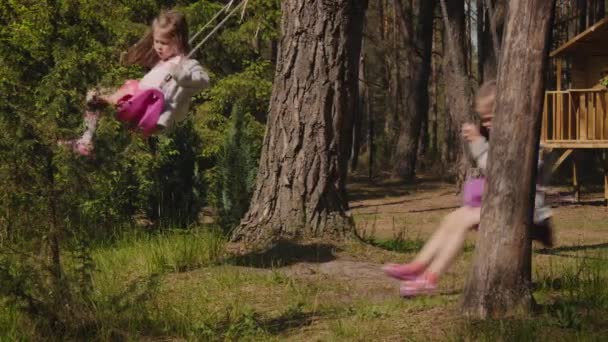 Дві Чарівні Дівчата Гойдаються Гойдалках Літньому Лісі — стокове відео