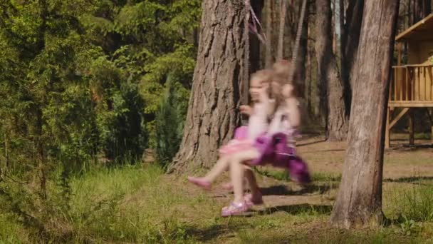 deux adorables filles se balancent sur des balançoires dans une forêt d'été 
