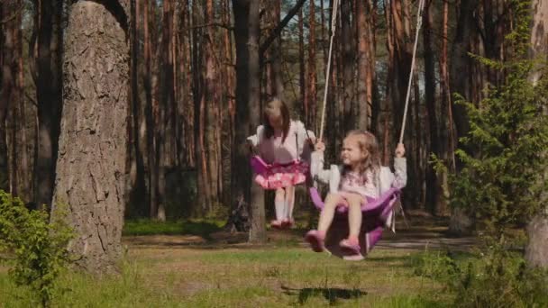 Duas Meninas Adoráveis Estão Balançando Balanços Uma Floresta Verão — Vídeo de Stock