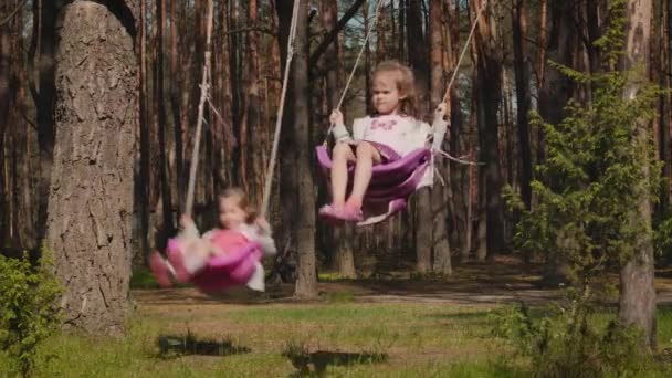 Duas Meninas Adoráveis Estão Balançando Balanços Uma Floresta Verão — Vídeo de Stock