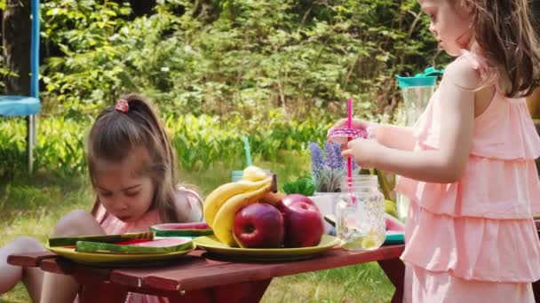 两个可爱的小女孩在粉红色的礼服是喝柠檬水在夏季野餐 — 图库视频影像