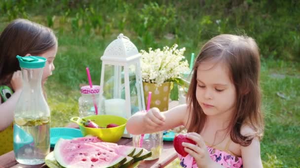 Twee Schattige Kleine Meisjes Eten Aardbeien Een Zomerpicknick — Stockvideo