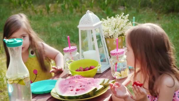Zwei Entzückende Kleine Mädchen Essen Erdbeeren Auf Einem Sommerpicknick — Stockvideo