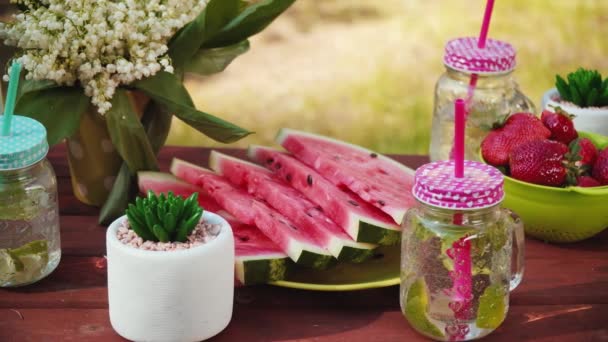 Mesa Picnic Con Frutas Jugosas Deliciosa Limonada Parque Verano — Vídeos de Stock