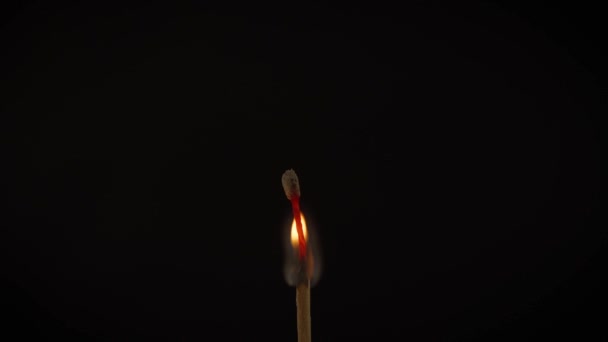 Isolated flame burning on a match on a black background — Stock Video