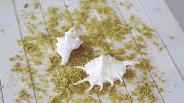 Two white seashells holiday souvenirs on wooden table with sand. — Stock Video