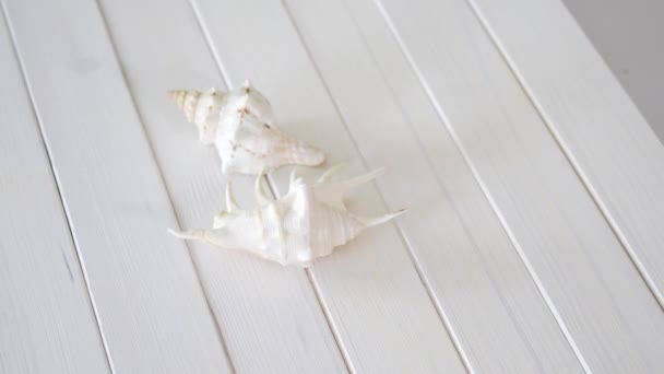 Dos recuerdos de vacaciones de conchas marinas blancas en una mesa de madera . — Vídeos de Stock