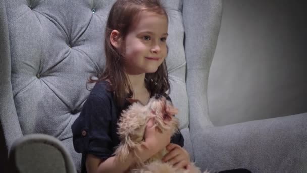 Прелестная девушка играет с маленьким щенком на стуле — стоковое видео