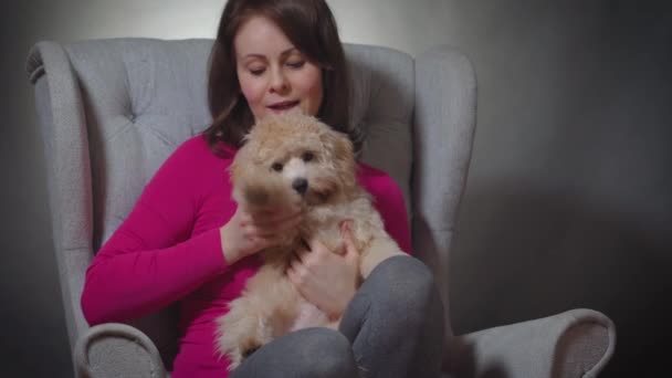 Bela mulher está brincando com um pequeno filhote de cachorro na cadeira — Vídeo de Stock