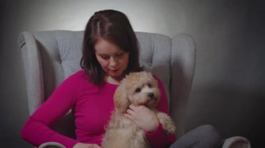 Güzel bir kadın sandalyedeki küçük bir köpek yavrusunun tüylerini tarar.