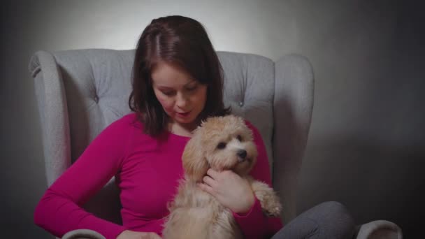 Красивая женщина расчесывает шерсть маленького щенка на стуле — стоковое видео