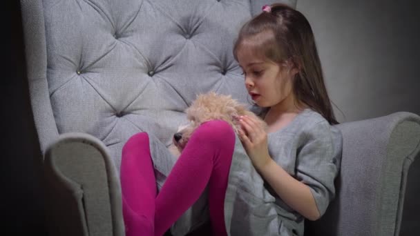 Αξιολάτρευτο κορίτσι παίζει με ένα μικρό κουτάβι στην καρέκλα — Αρχείο Βίντεο
