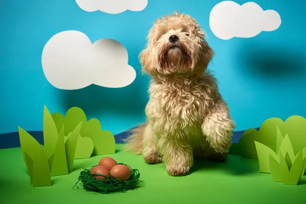 Cachorro senta-se ao lado de ovos de Páscoa na decoração de papel verde — Fotografia de Stock