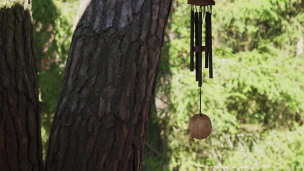 Восточный колокол звенит на ветру в весеннем лесу — стоковое видео